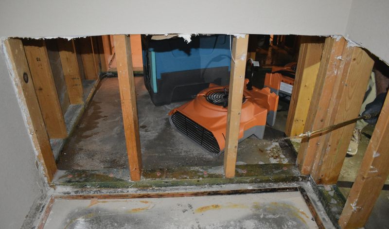 Crawl Space Water Remediation detail