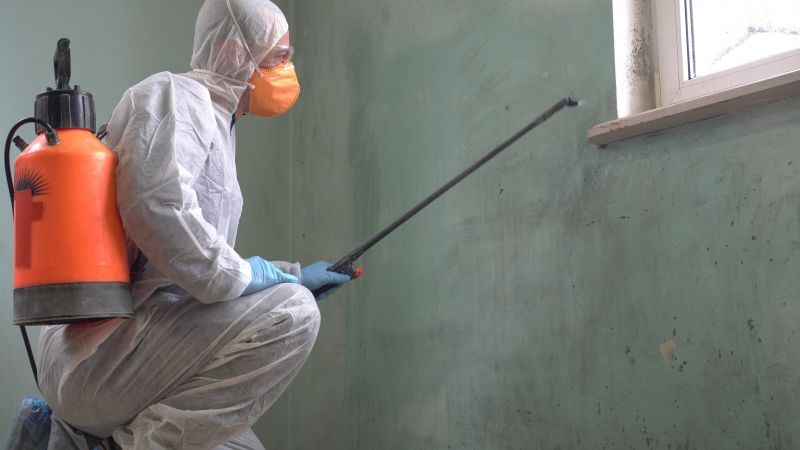 Sanitization and Mold Prevention